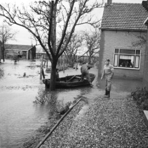 Overstroming in Rijnsaterswoude, met bootjes vaart men door de kwekerijen, Bestanddeelnr 911-8426