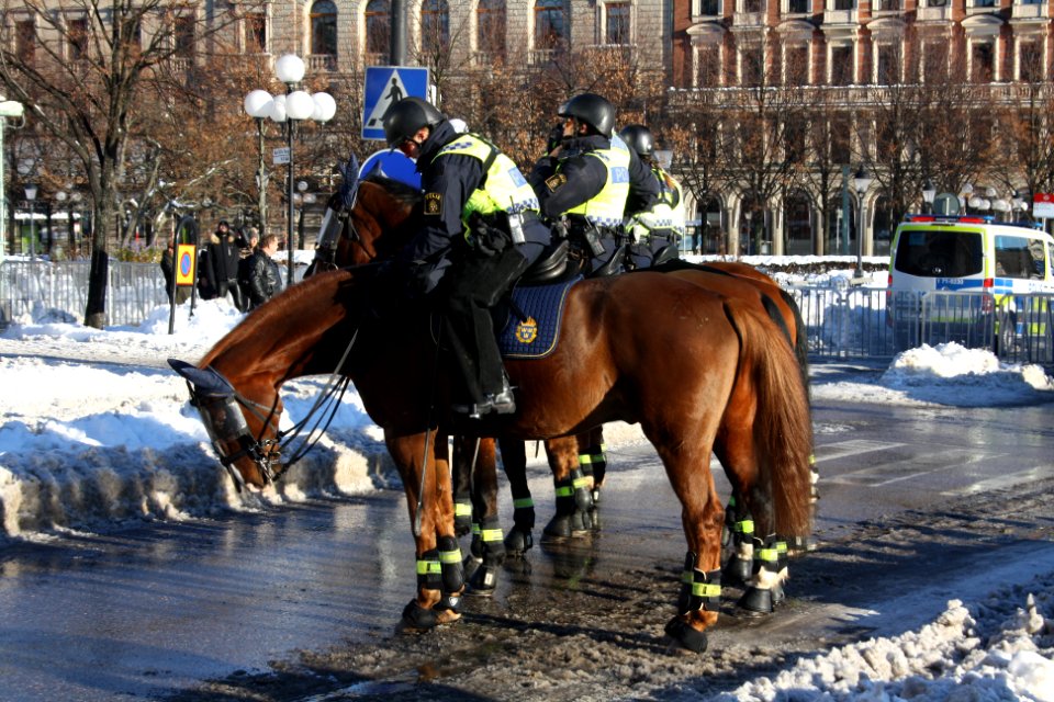 Nordiska Motståndsrörelsen Demonstration 2016 07