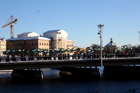 Nordiska Motståndsrörelsen Demonstration 2016 27
