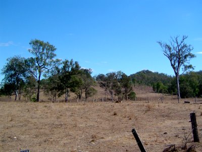 Paddocks Banks Creek