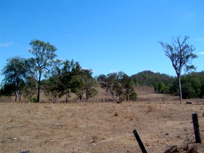 Paddocks Banks Creek photo