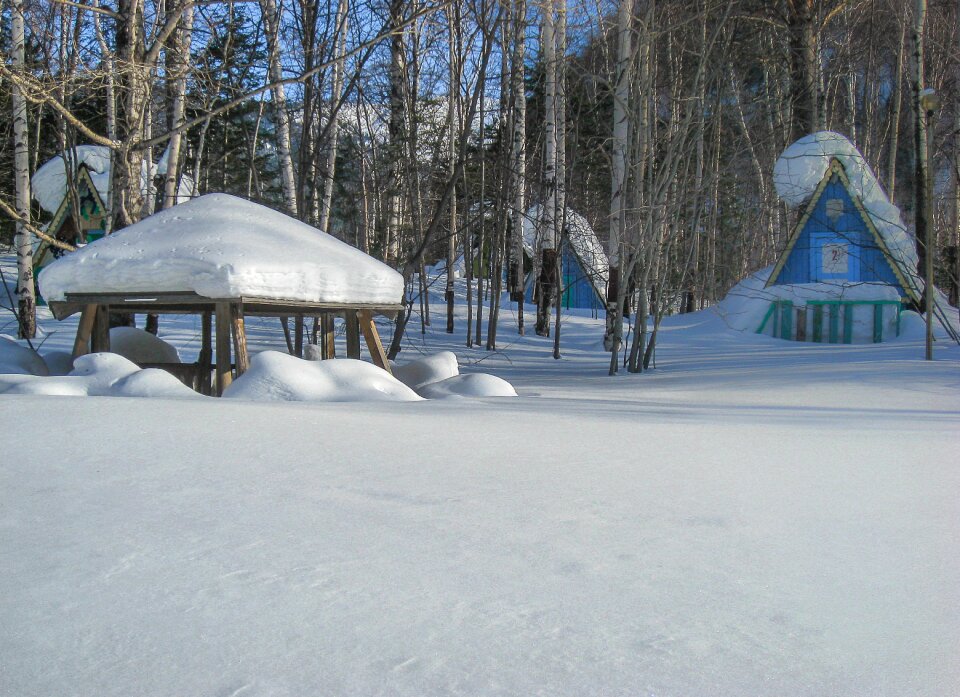 Lake baikal taiga chalets