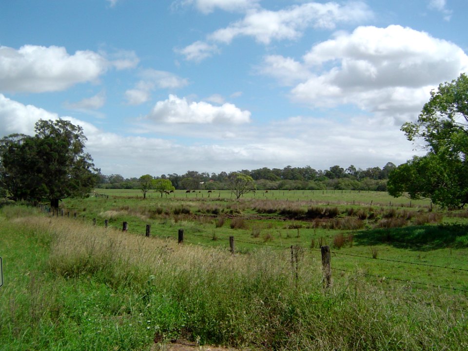 Paddocks Bruckner Road Stapylton