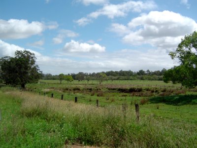 Paddocks Bruckner Road Stapylton