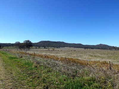 Paddocks at Tabragalba