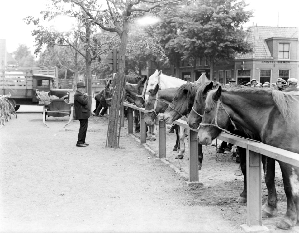 Paardenmarkt in Purmerend, Bestanddeelnr 252-0545