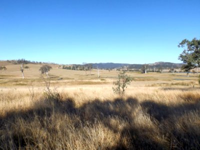 Paddocks Crossdale Queensland