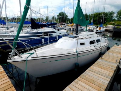 Paceship PY 26 sailboat Dalriada 2518