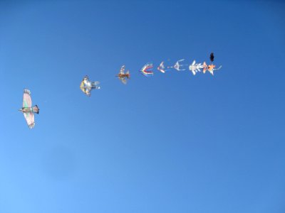 Nopple sky 1