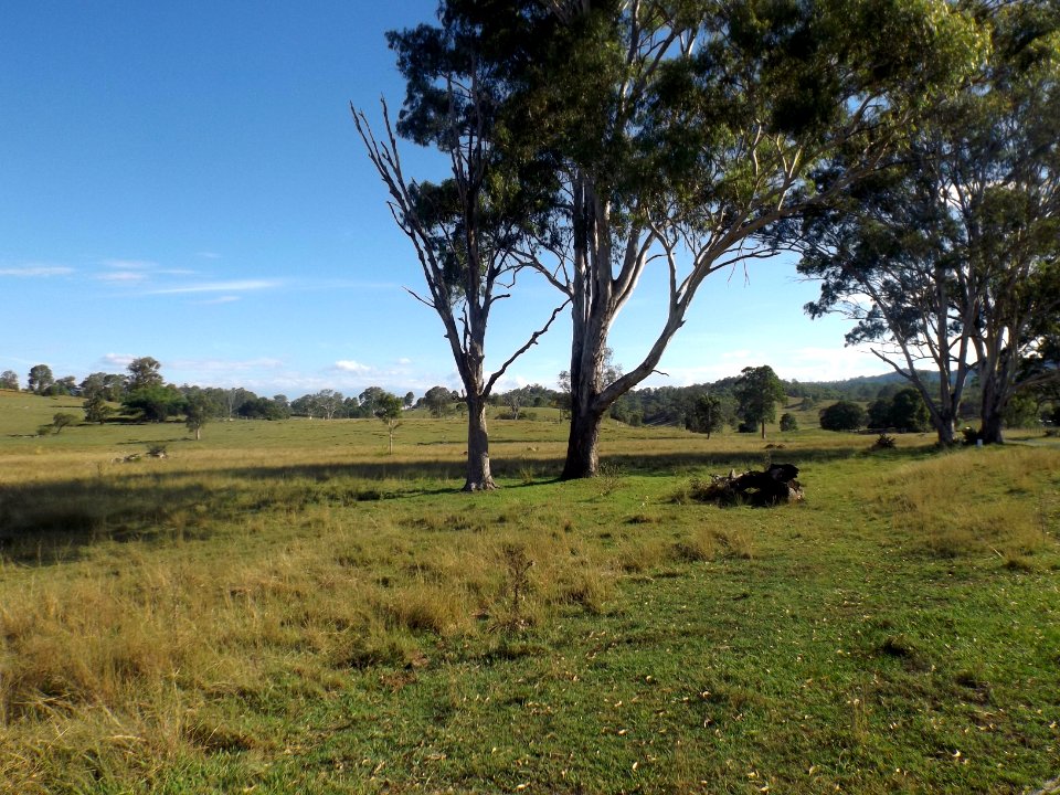 Paddocks along Tamrookum Creek Road at Tamrookum Creek, Queensland 2