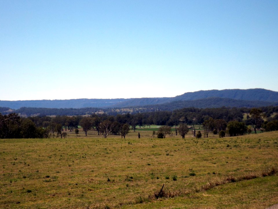 Paddocks at Nindooinbah
