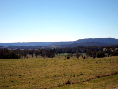 Paddocks at Nindooinbah
