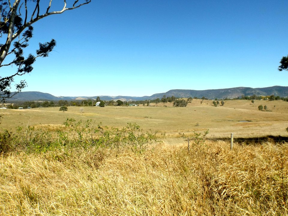 Paddocks Royston Queensland