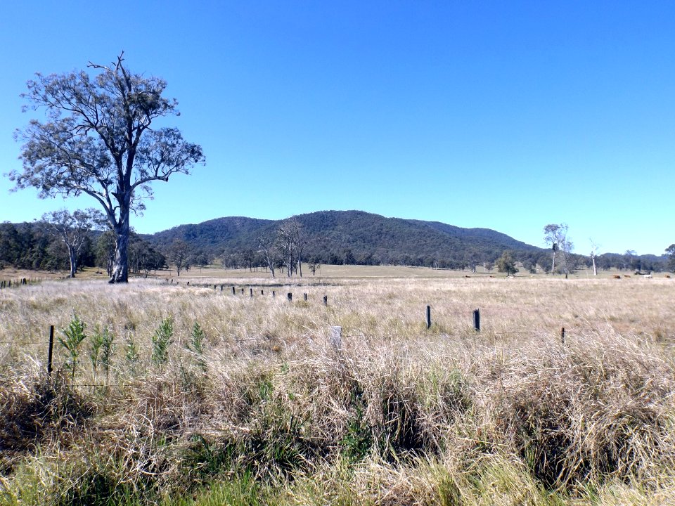 Paddocks Neurum Queensland