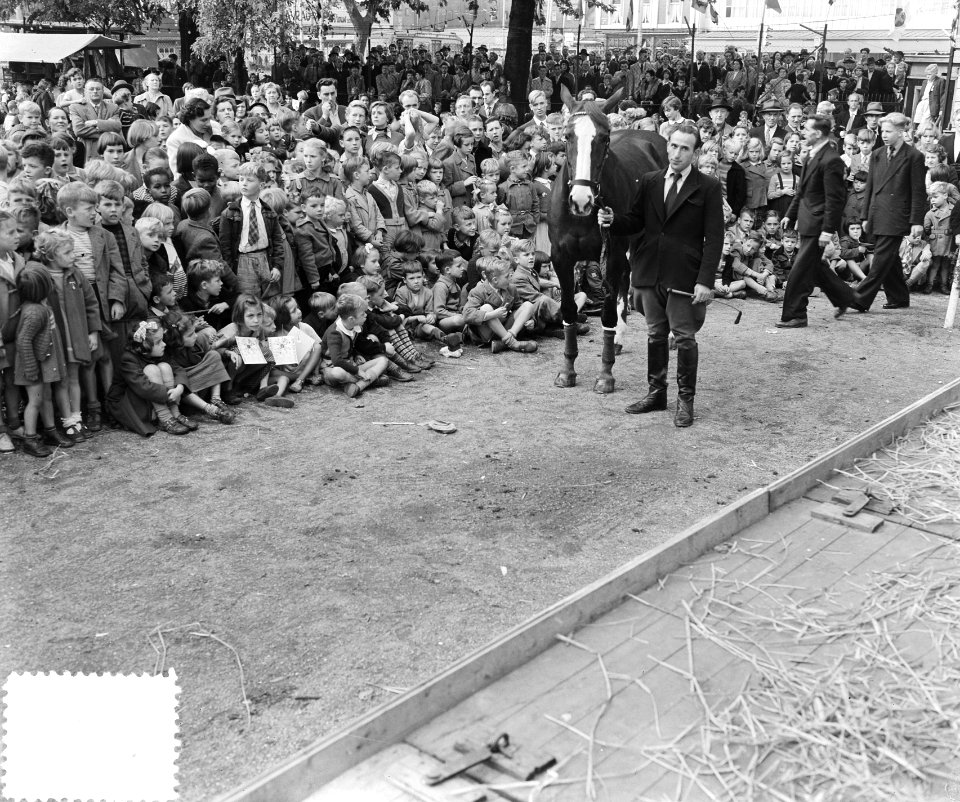Paardendag Amsterdam, Bestanddeelnr 905-9818