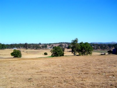 Paddocks Borallon