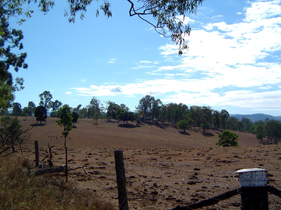 Paddocks Borallon 2