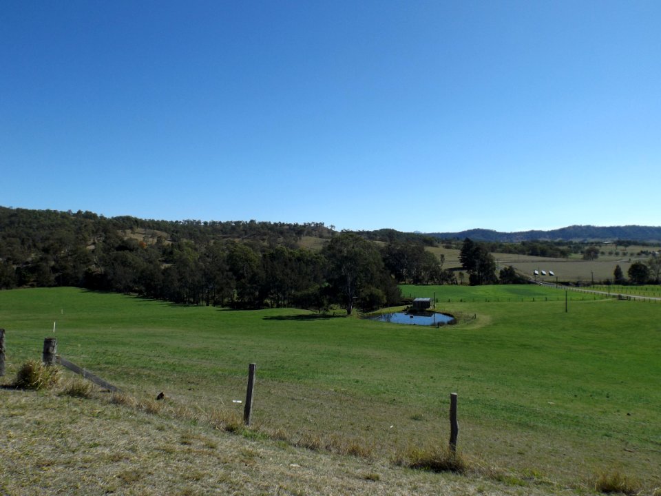 Paddocks at Hillview