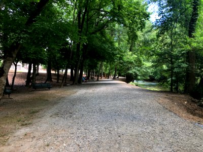 Oxbo Trail, Roswell, GA May 2021 photo