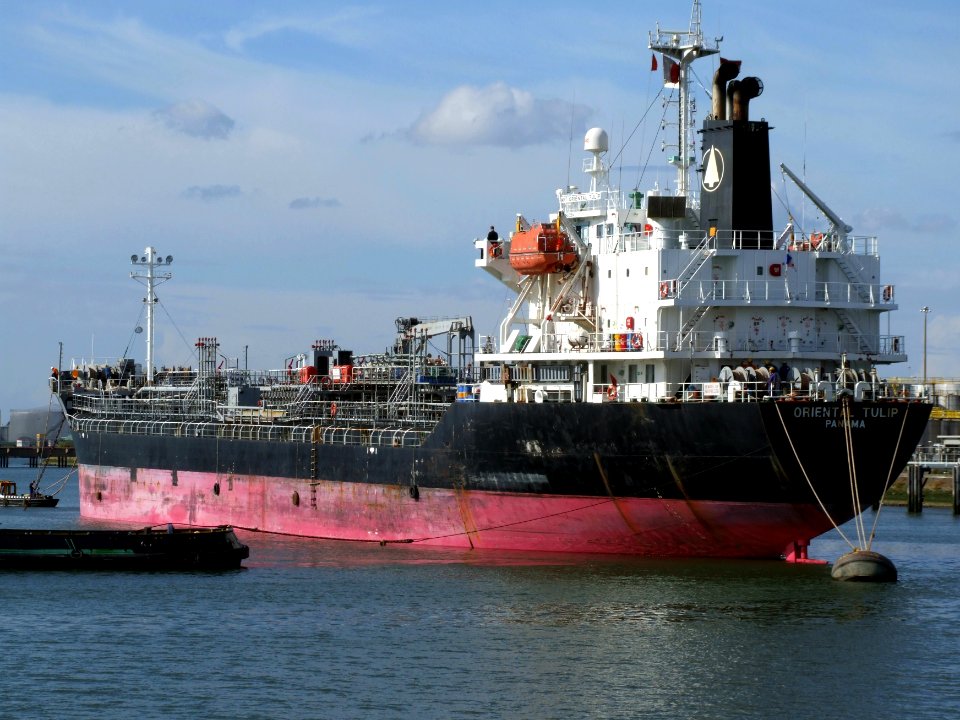 Oriental Tulip p1, Port of Rotterdam, Holland