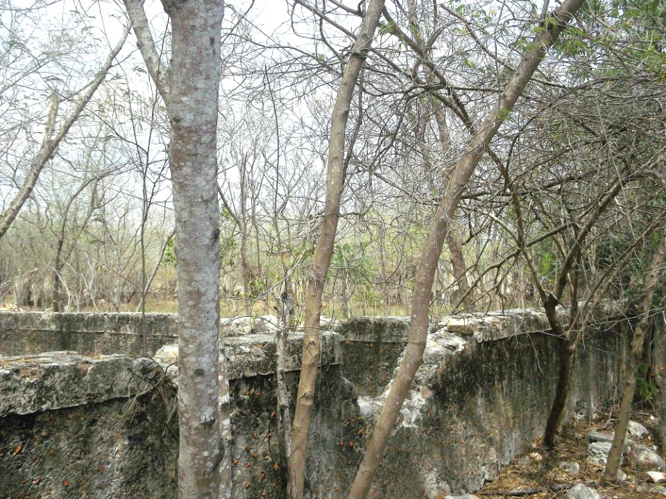 Pacabtún, Yucatán (11)