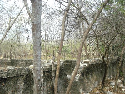 Pacabtún, Yucatán (11)