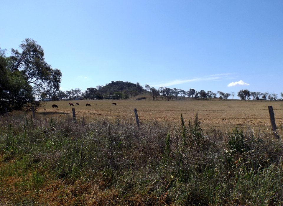 Paddocks at Vale View