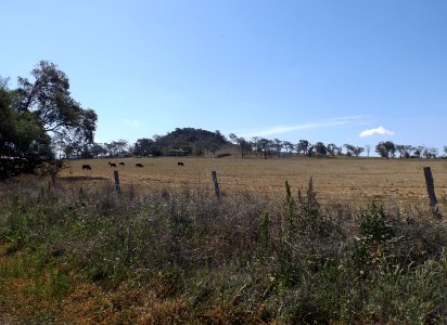 Paddocks at Vale View
