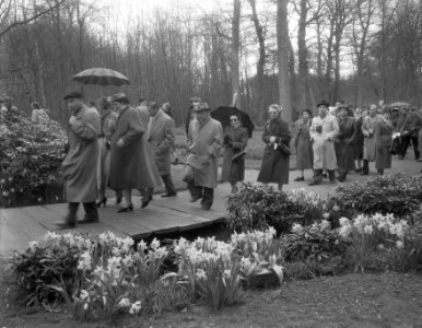 Paasdrukte in de bollenstreek, Bestanddeelnr 906-4052