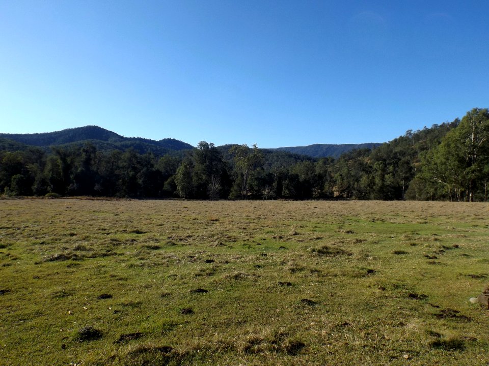 Paddocks Mount Byron Queensland