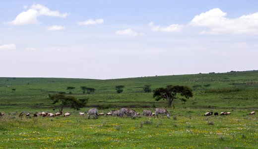 Africa park travel