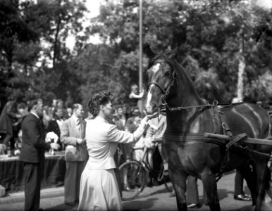 Paardenparade. Overzicht Munt, Bestanddeelnr 902-8048