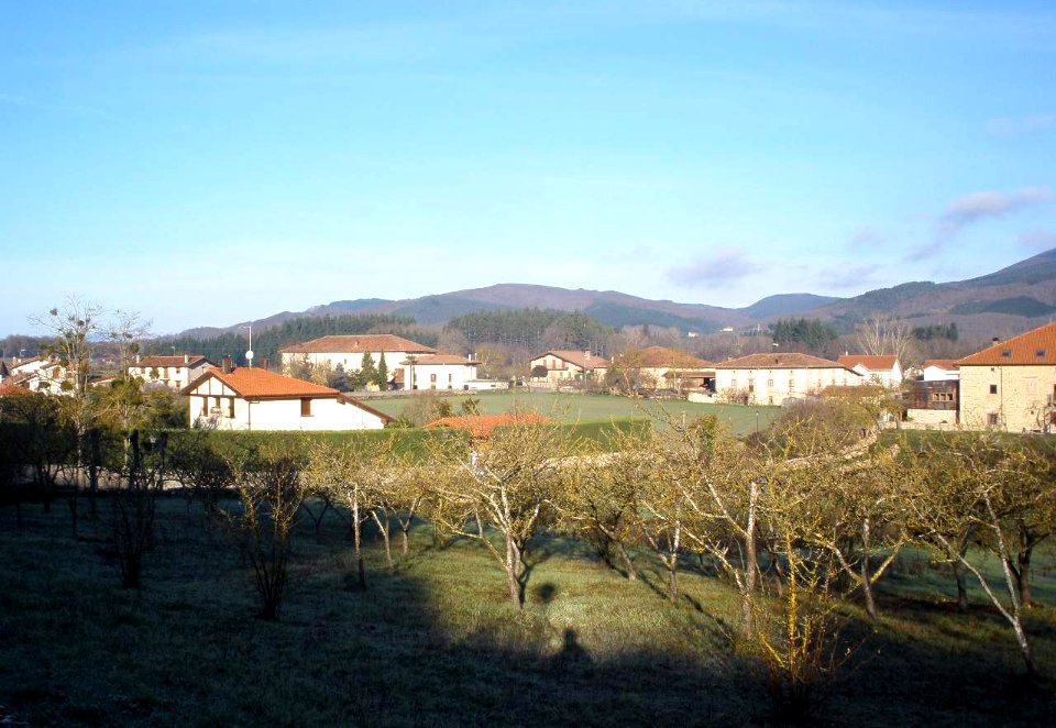 Ozaeta 03