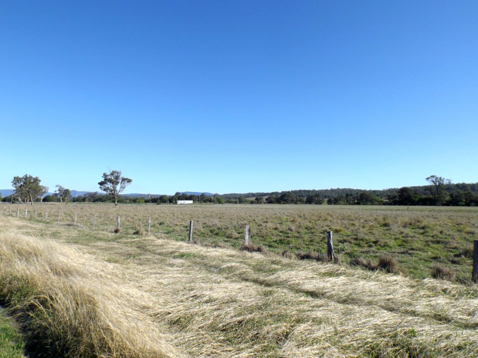 Paddocks at Tabooba 2