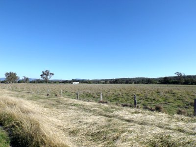 Paddocks at Tabooba 2