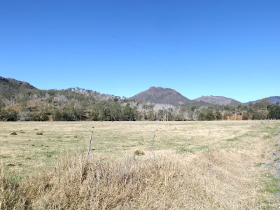 Paddocks at Lamington