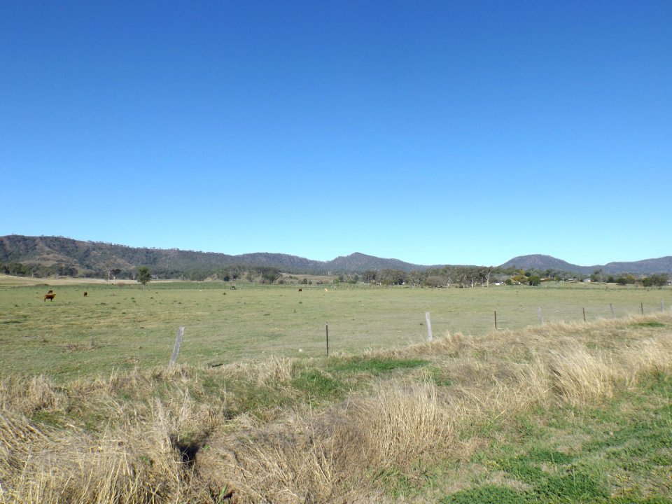 Paddocks at Tabooba