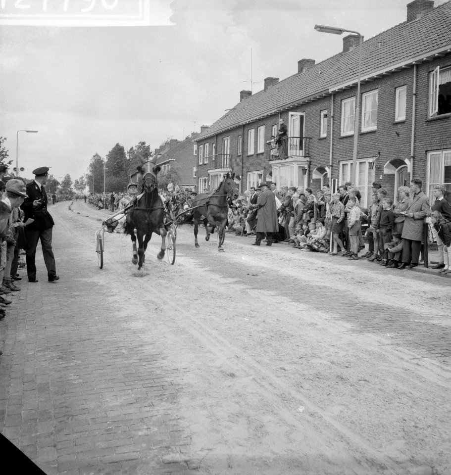 Paardenmarkt in Voorschoten Kampioenschap korte baan, Bestanddeelnr 912-7790
