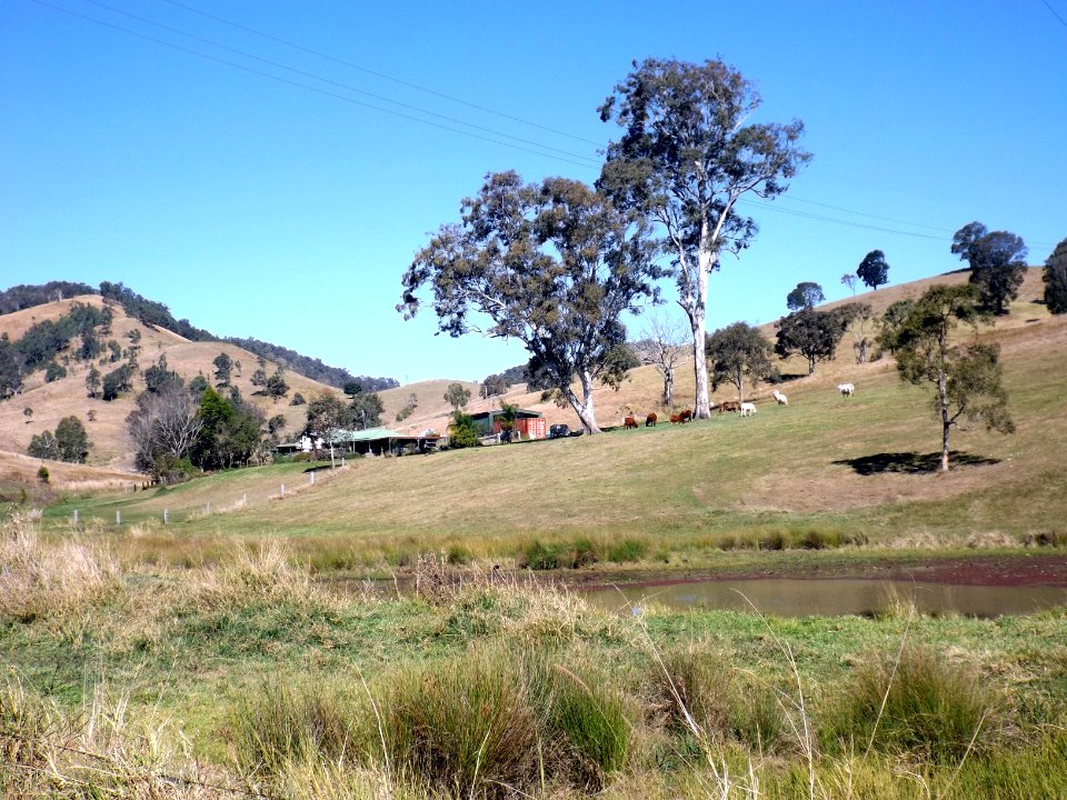 Paddocks Mount Kilcoy Queensland
