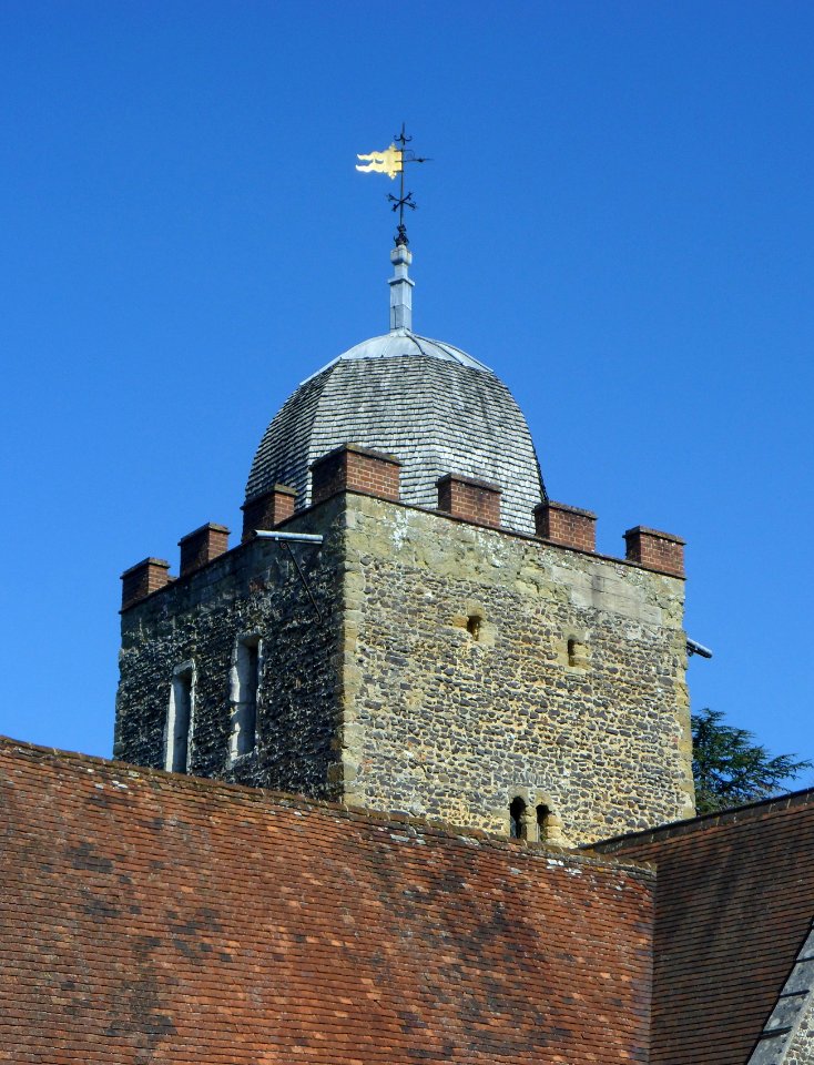 Old St Peter and St Paul's Church, Albury Park, Albury (March 2014) (Tower)