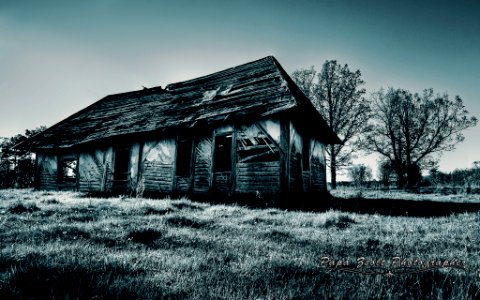 Old Time (192953099)