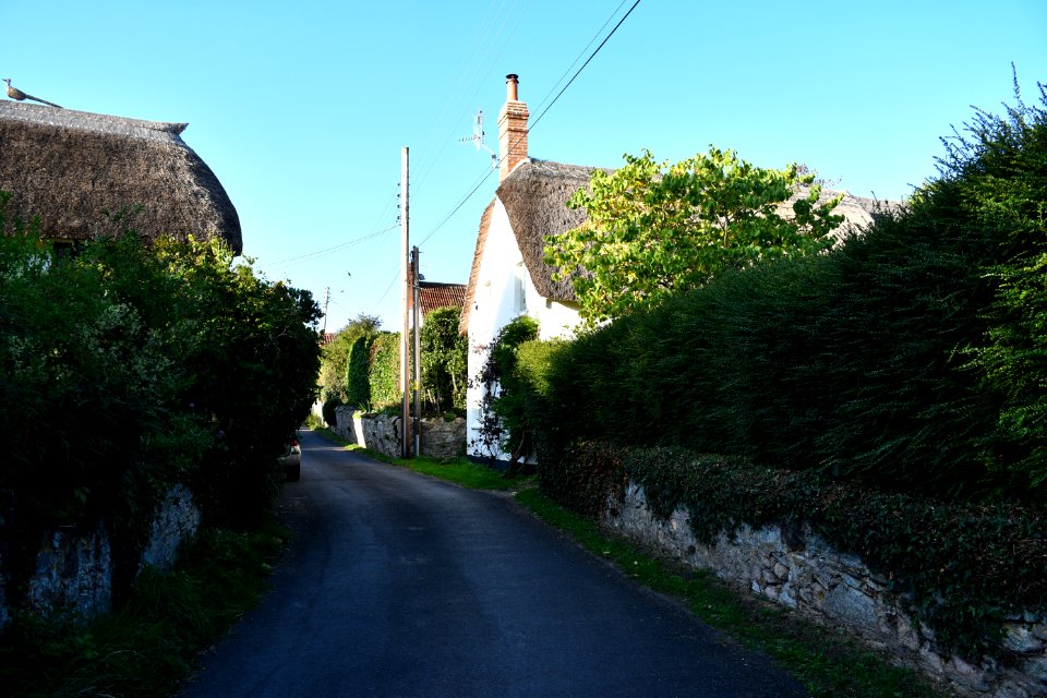 Old Cleeve (2020-09-14) 04