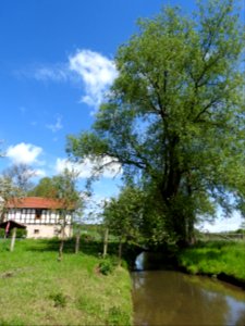 Orla river Molbitz, Neustadt-Orla 3