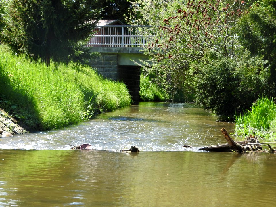 Orla river Molbitz, Neustadt-Orla 5