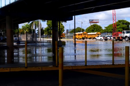 Omni Downtown Miami tidal flooding October 17 2016 morning high tide 04