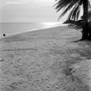 Palm Beach op Aruba, Bestanddeelnr 252-3413