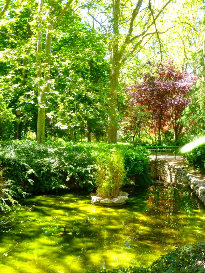 Palencia - Jardinillos de la Estación 14