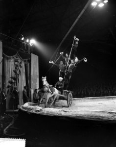 Optreden van het Russisch staatscircus in de Ahoyhal te Rotterdam, optreden van , Bestanddeelnr 912-1260