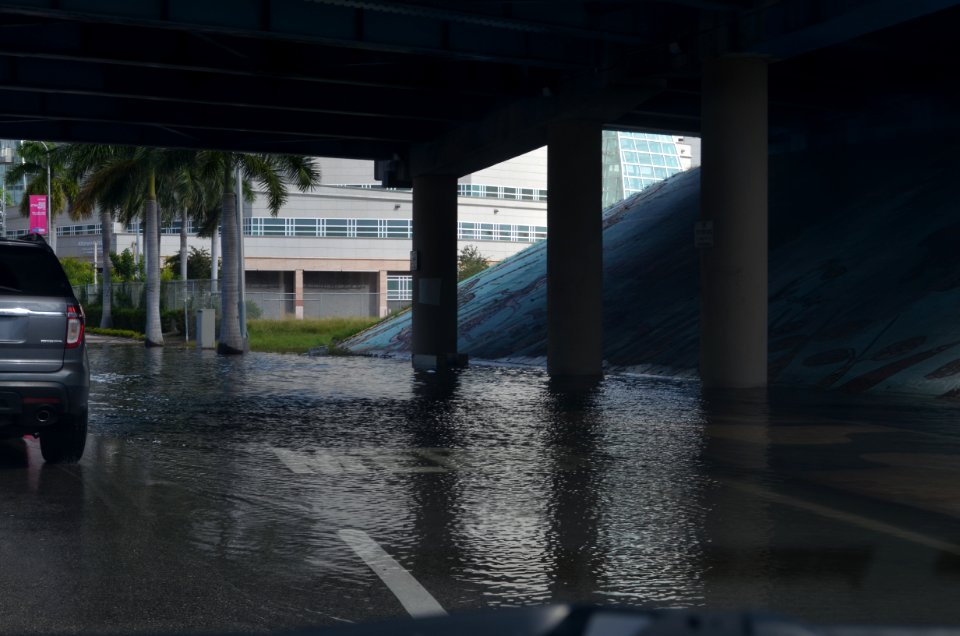 Omni Downtown Miami tidal flooding October 17 2016 morning high tide 01