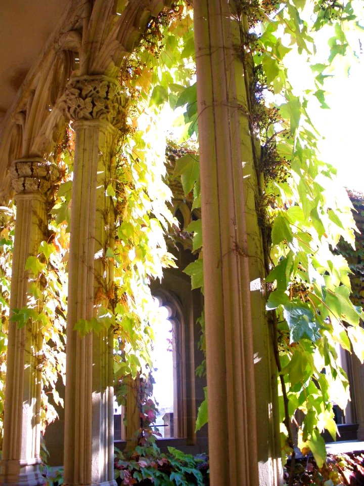 Olite - Palacio Real, Galería de la Reina 8